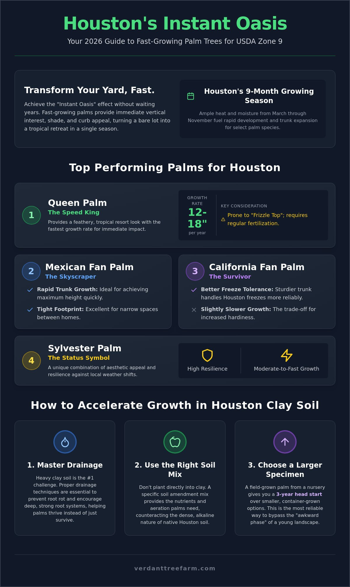 10 Best Fast Growing Palms for Houston Landscapes: 2026 Growth Guide