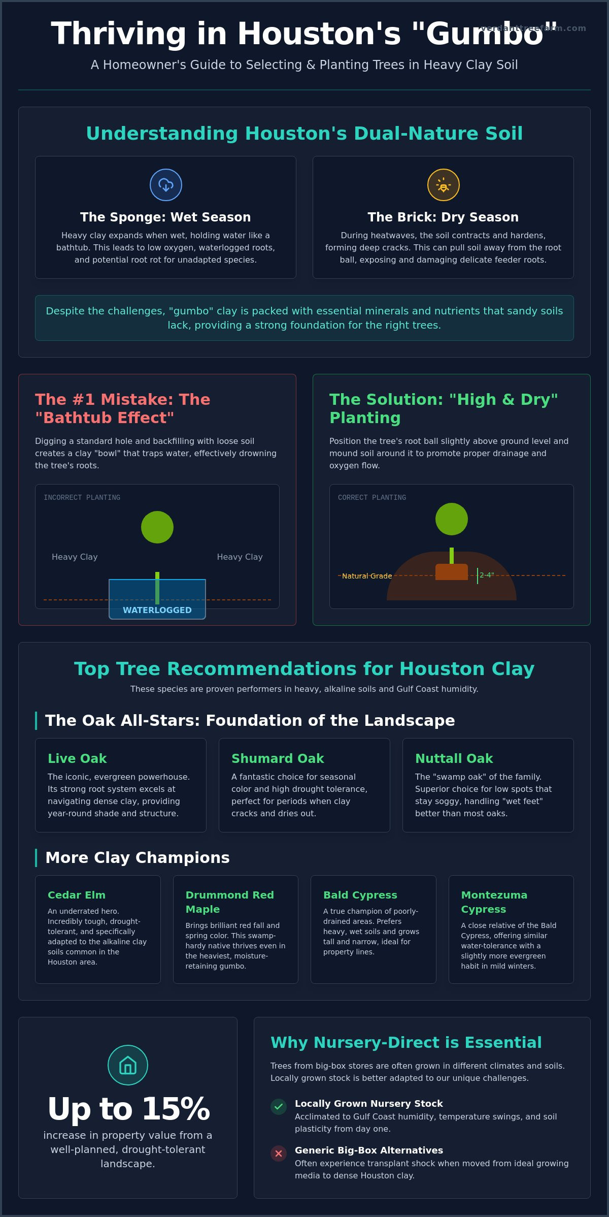 Best Trees for Clay Soil in Houston: 2026 Homeowner’s Guide