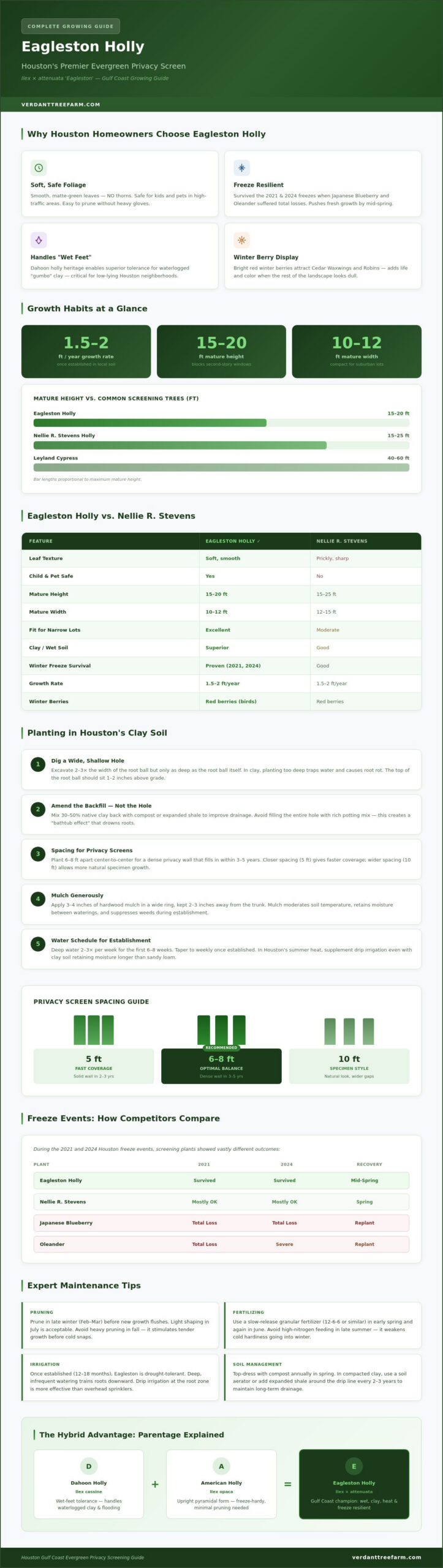 Eagleston Holly in Houston: The Ultimate Privacy & Screening Guide (2026)