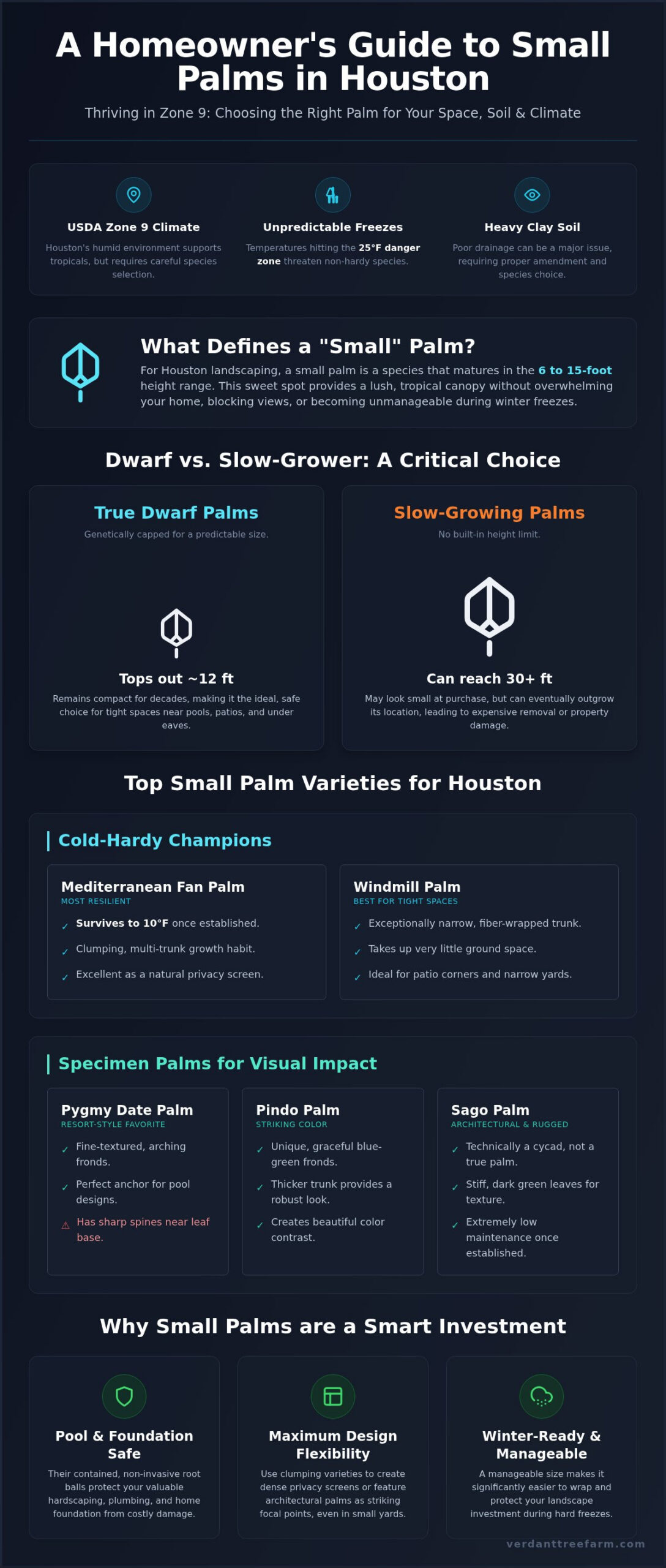 Small Palm Trees in Houston: Best Varieties for Compact Landscapes (2026)