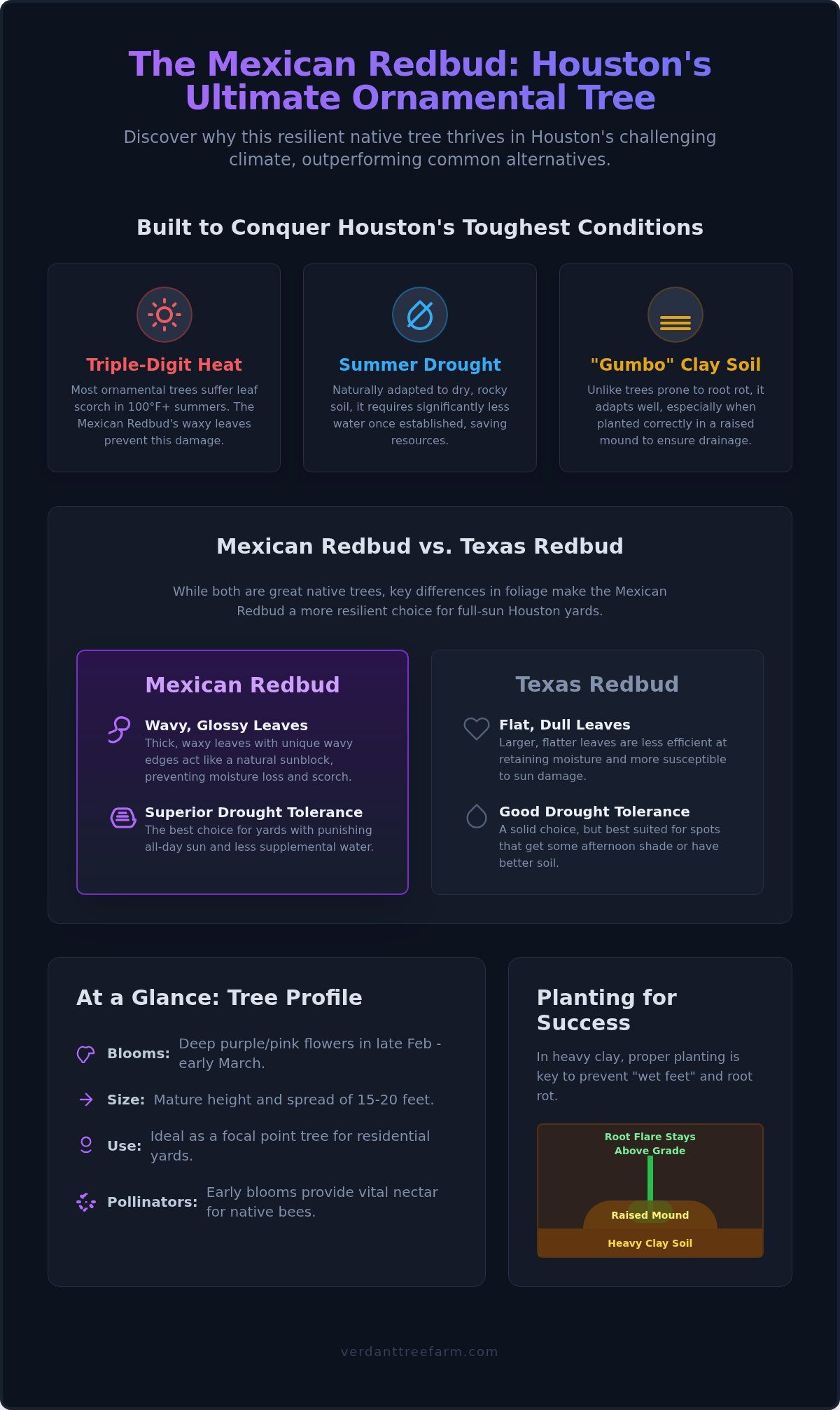 Mexican Redbud Houston: The Ultimate Guide to Planting & Care (2026)