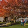 October Glory Maple in Houston: The Complete 2026 Planting & Care Guide