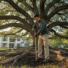 Tree Fertilizer Schedule Houston: The 2026 Guide to Seasonal Tree Health
