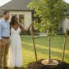 Tree Warranty Houston: Protecting Your Landscape Investment in 2026