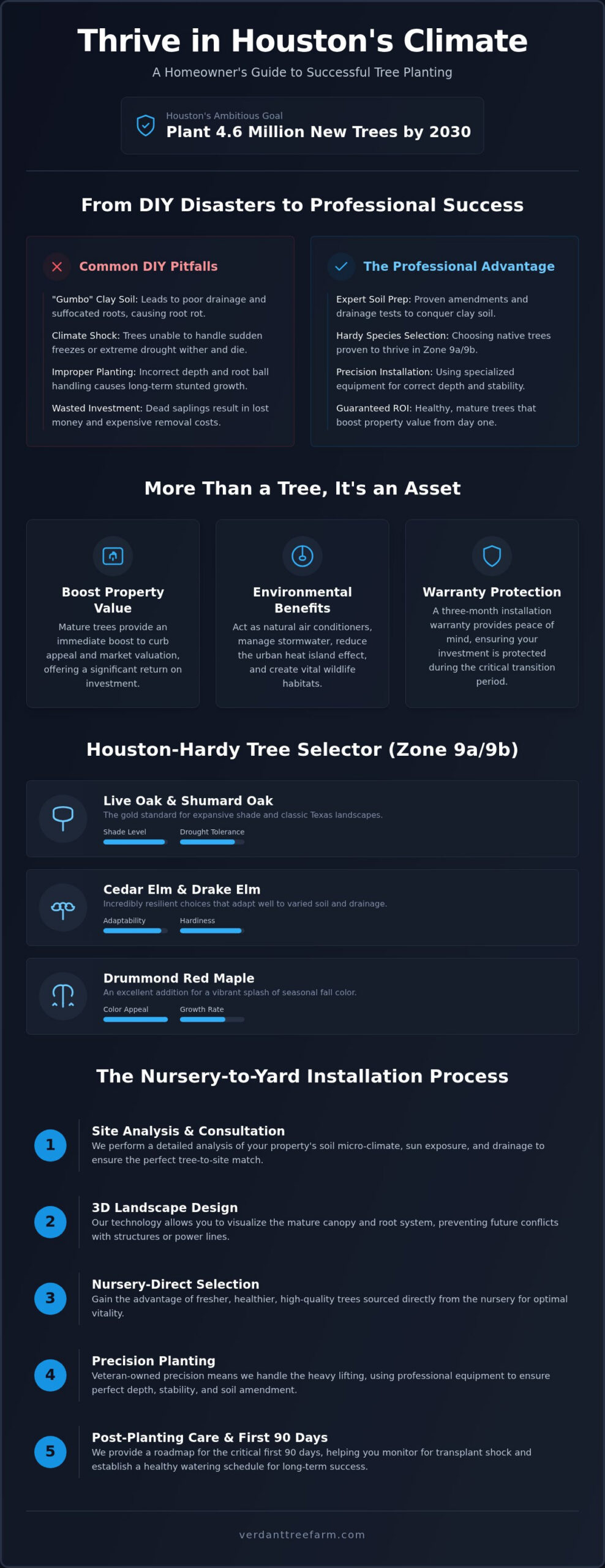 Professional Tree Installation in Houston: The 2026 Homeowner’s Guide