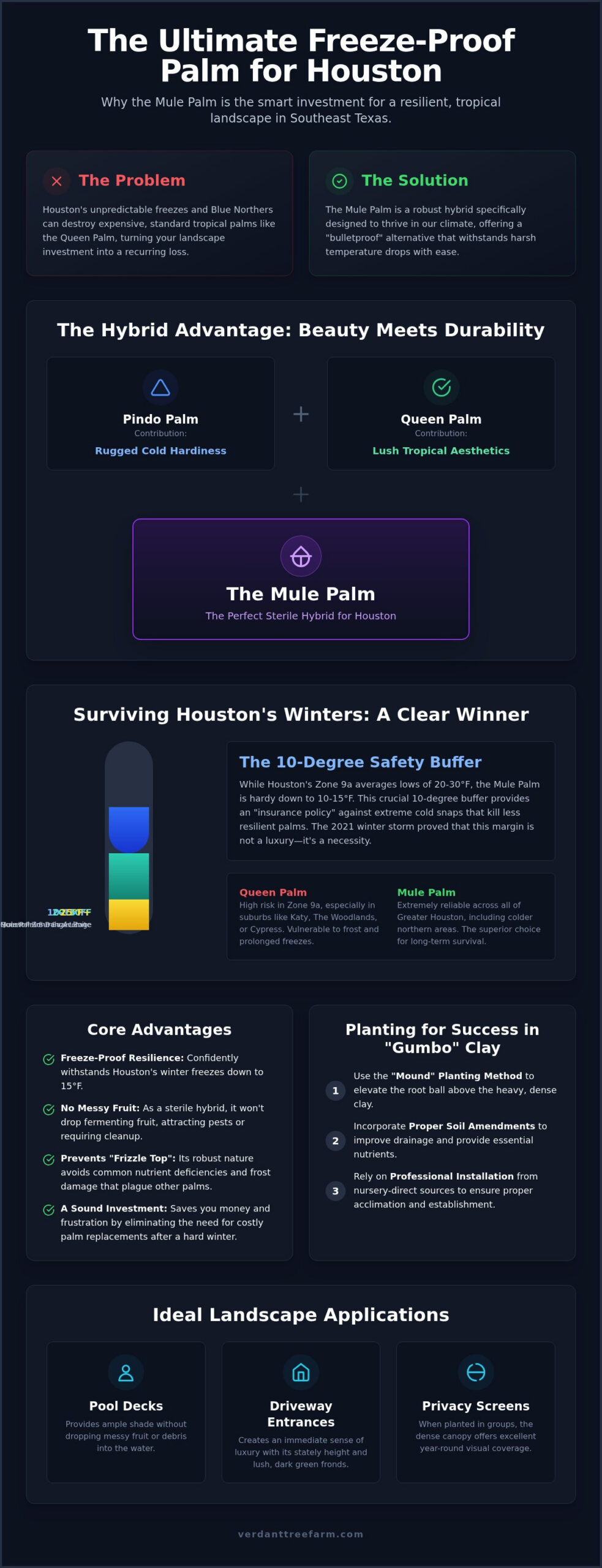 Mule Palm Hardiness Zone Houston: 2026 Growth Guide