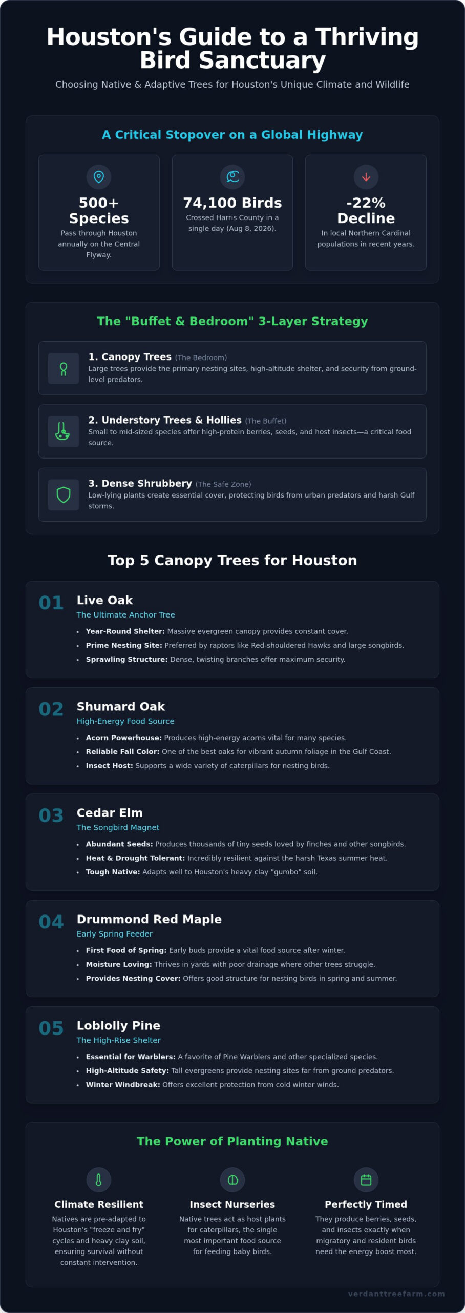 Best Trees for Birds in Houston: 2026 Homeowner’s Guide