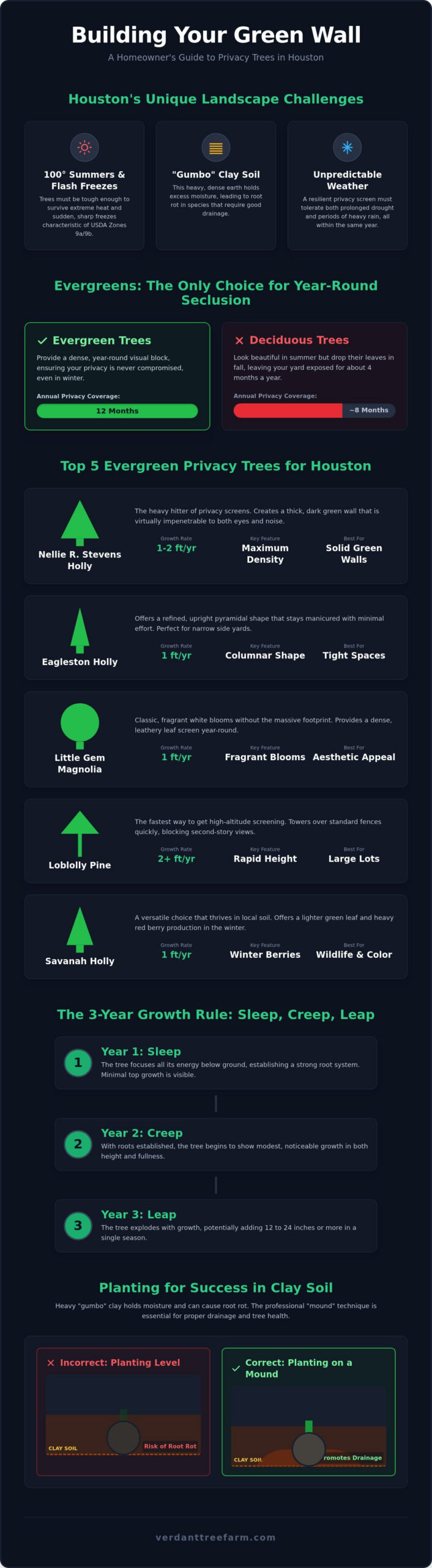 Best Houston Privacy Trees: 2026 Evergreen Guide
