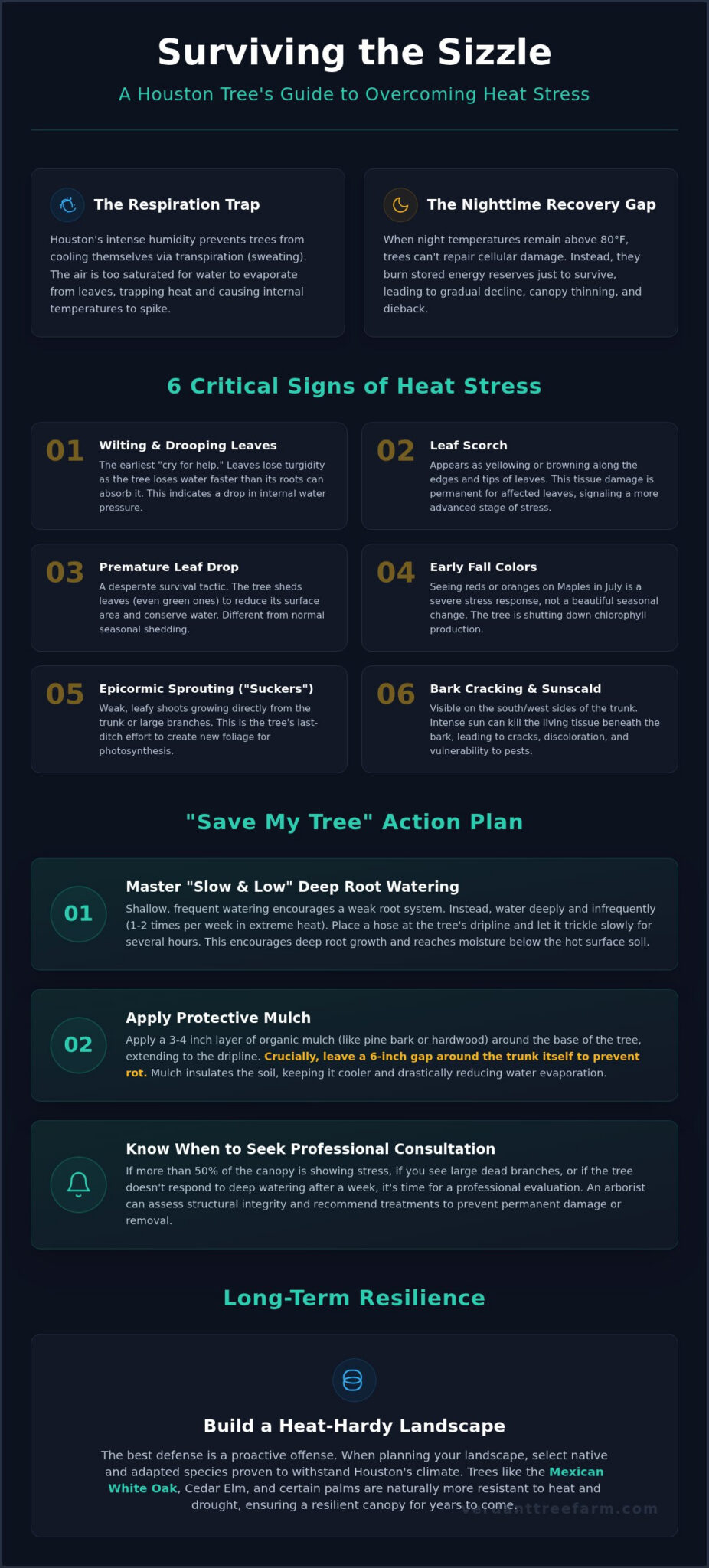 Tree Stock Types. Examples Signs of Heat Stress in Trees Houston: The 2026 Homeowner’s Guide