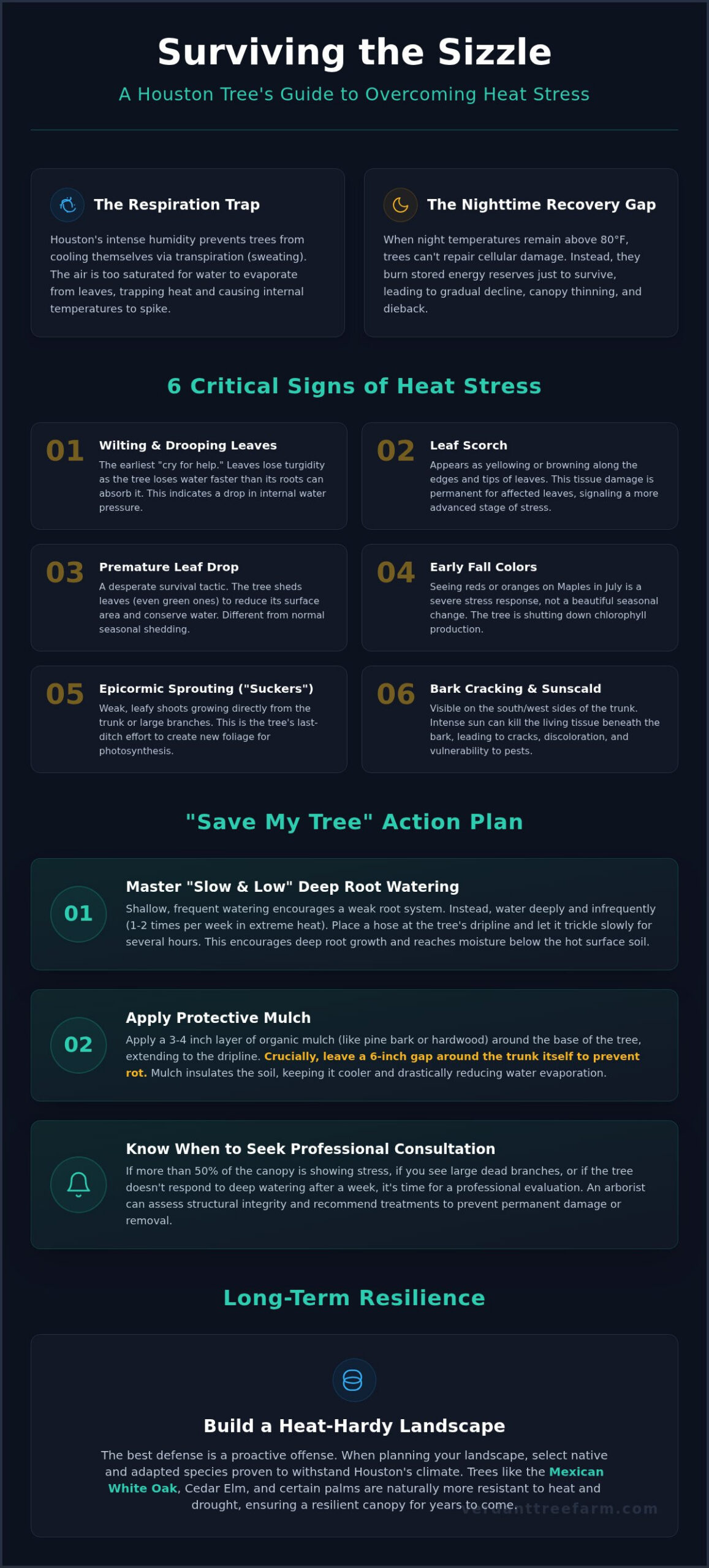 Signs of Heat Stress in Trees Houston: The 2026 Homeowner’s Guide