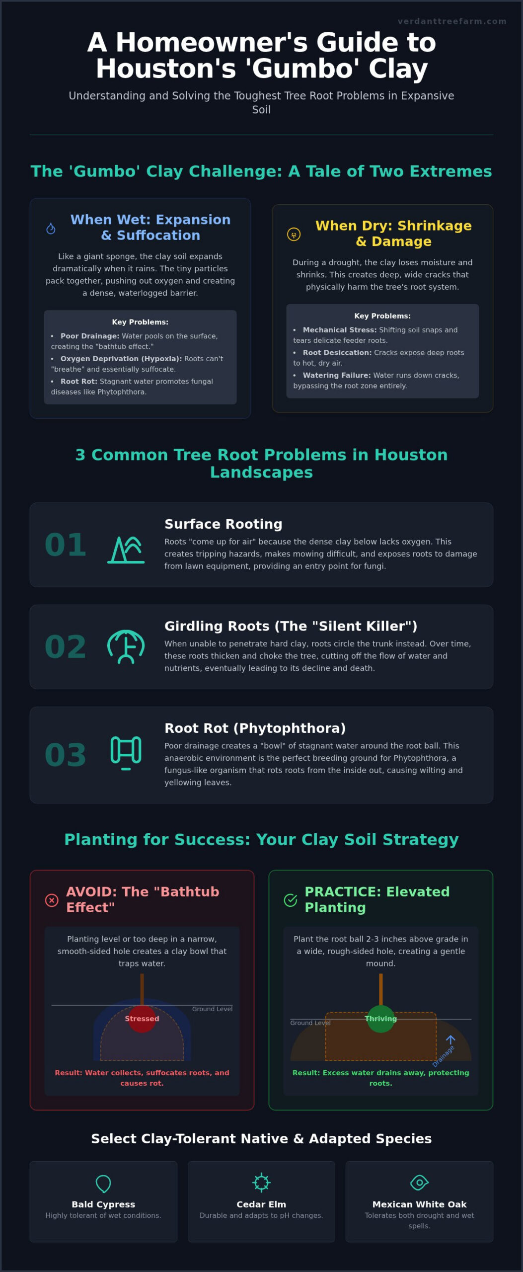 Tree Root Problems in Clay Soil Houston: A Homeowner’s Survival Guide (2026)