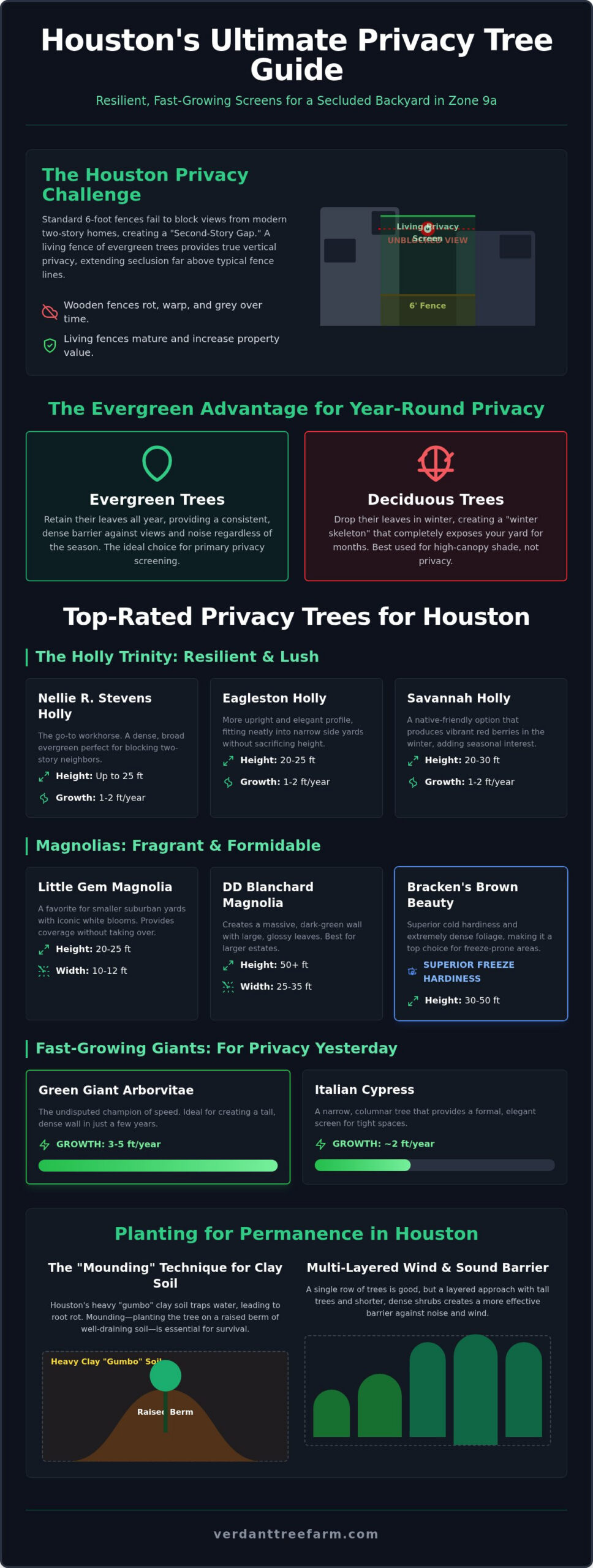 Privacy Trees Houston: The 2026 Guide to Fast-Growing Living Fences