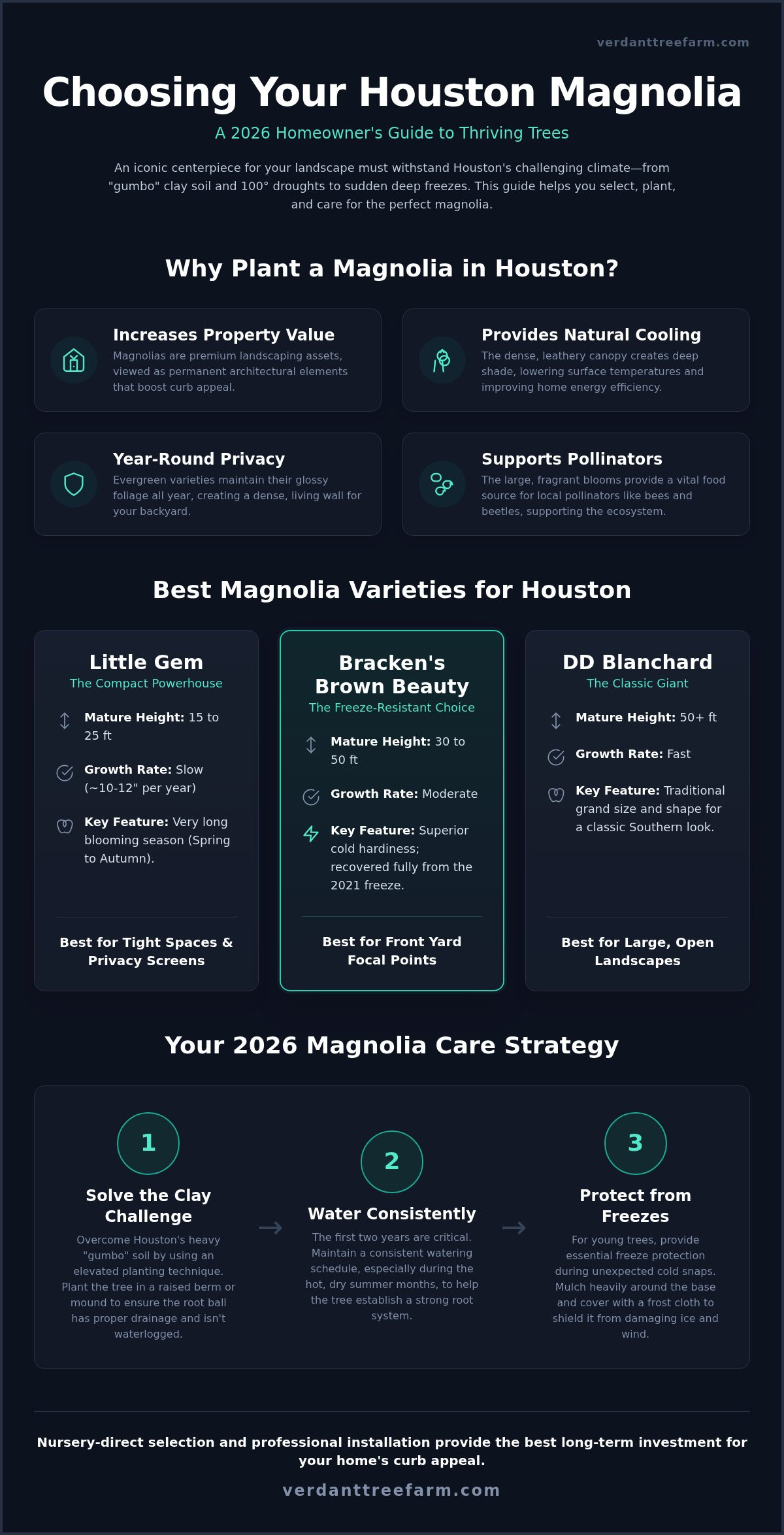 Magnolia Trees Houston: The 2026 Homeowner’s Selection & Care Guide