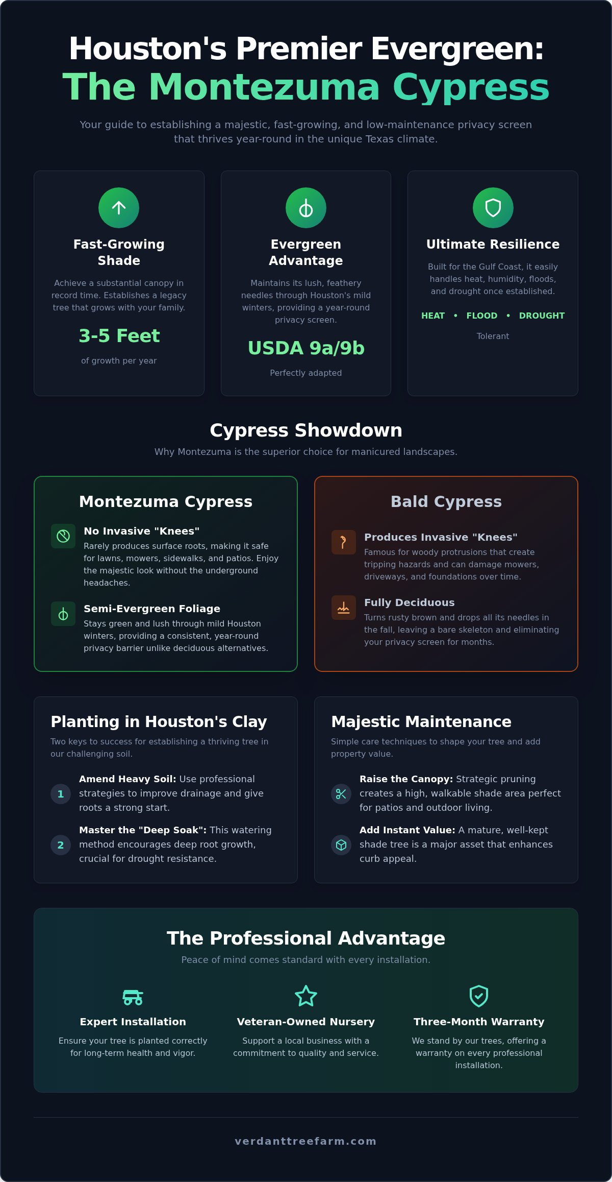 Montezuma Cypress Houston: The Ultimate Guide to the Evergreen Giant (2026)