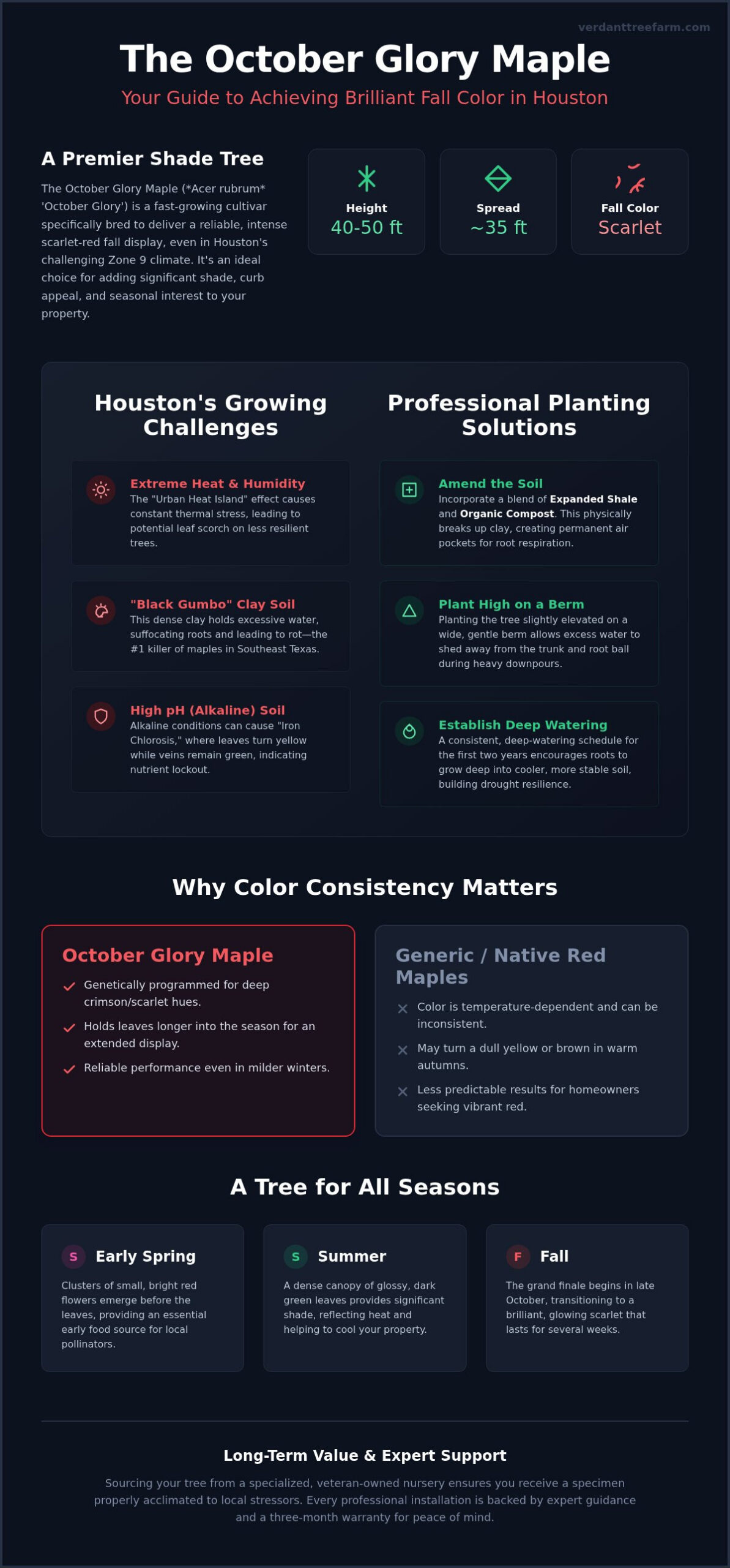 October Glory Maple in Houston: The Complete 2026 Planting & Care Guide