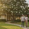 Magnolia Trees Houston: The 2026 Homeowner’s Selection & Care Guide