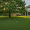 Montezuma Cypress Houston: The Ultimate Guide to the Evergreen Giant (2026)