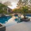 Pygmy Date Palm Houston: Growing & Buying Guide for 2026
