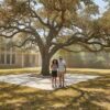 Signs of Heat Stress in Trees Houston: The 2026 Homeowner’s Guide