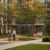 Houston Apartment Complex Tree Installation Guide