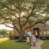 Best Place to Buy Large Oak Trees in Houston: The 2026 Buyer’s Guide