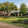 Best Trees for Houston’s West Side: A Practical 2026 Guide
