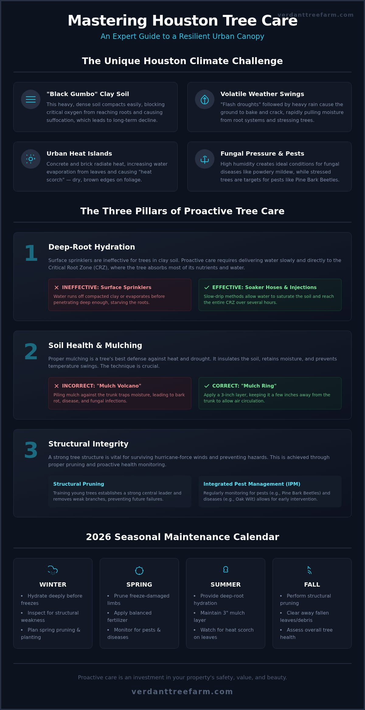 Tree Maintenance in Houston: The 2026 Guide to Healthy, Resilient Landscapes