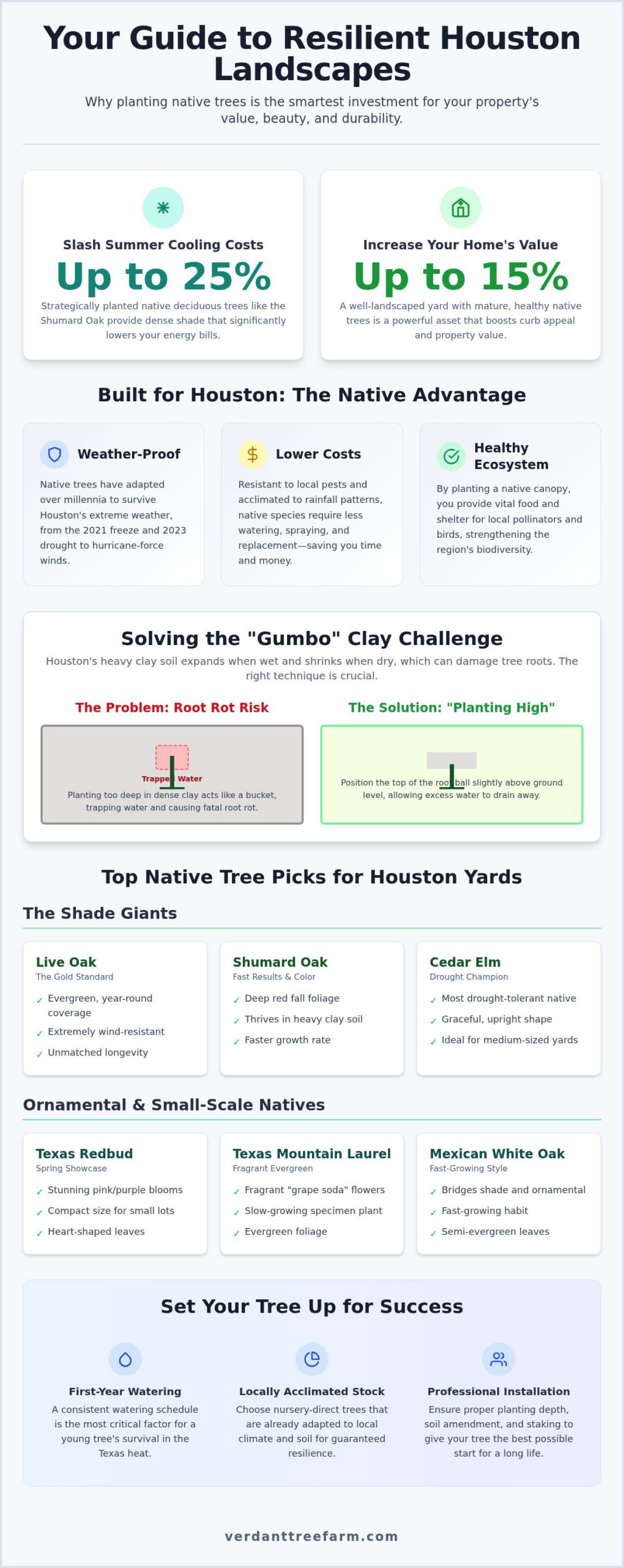 Native Trees Houston: The 2026 Homeowner’s Guide to Resilient Landscaping