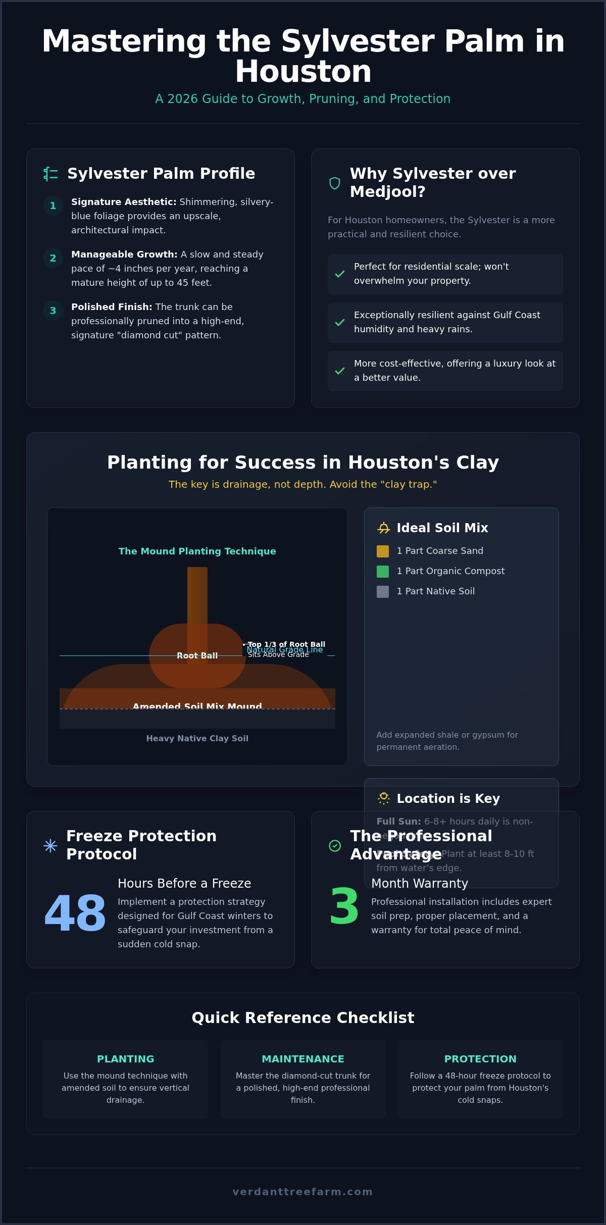 Sylvester Palm Houston: 2026 Care & Landscaping Guide