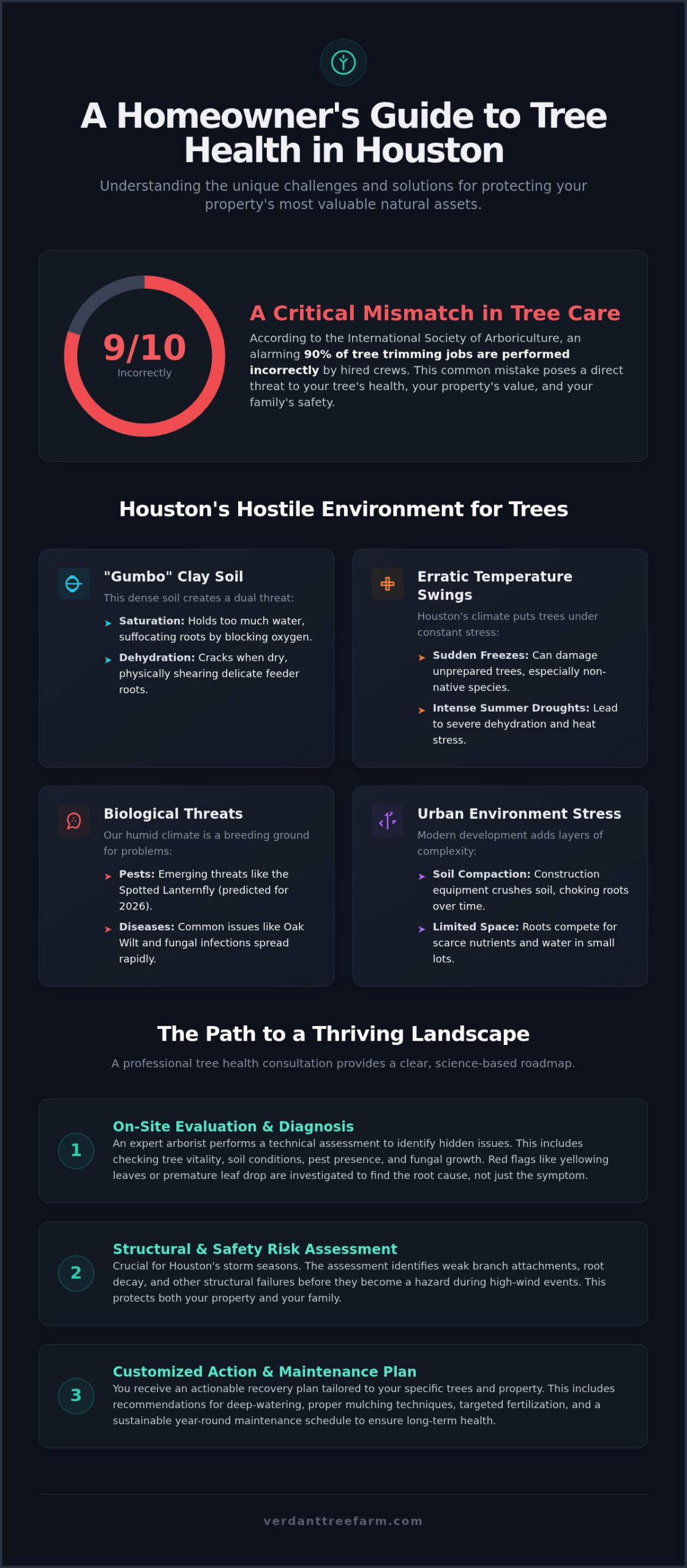 Tree Health Consultation Houston: The 2026 Homeowner’s Guide