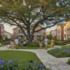 HOA Landscaping Services in Houston: The 2026 Nursery-Direct Guide