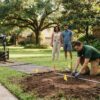 How to Prepare Your Yard for Professional Tree Installation in 2026