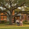 Native Trees Houston: The 2026 Homeowner’s Guide to Resilient Landscaping