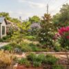 Ornamental Trees for Houston Gardens: How to Choose the Right Fit