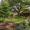 The Long-Term Value of Native Trees: Benefits That Grow Over Time