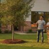 Tree Nursery with Installation Services Near Me: Houston’s 2026 Buyer’s Guide