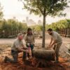 Veteran-Owned Tree Nursery Houston: Quality, Integrity, & Local Expertise