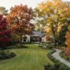 7 Best Trees for Fall Color in Houston