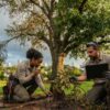Diagnosing Sick Trees in Houston: A Practical Guide for 2026