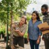 How to Check a Tree for Pests Before You Buy