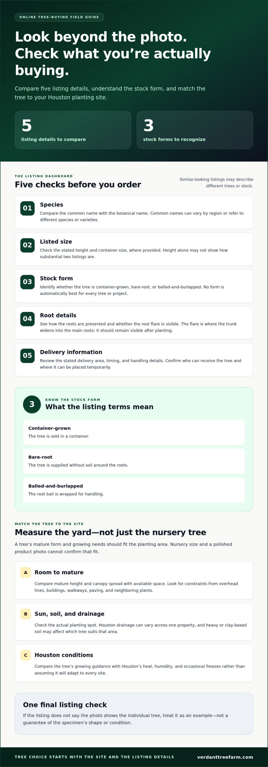 Common Mistakes When Buying Trees Online (and How to Avoid Them)