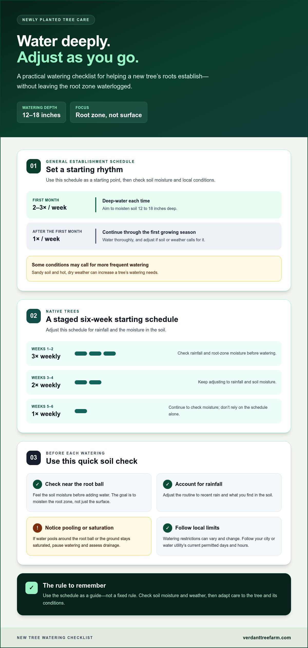 Post-planting tree care checklist for watering, mulch and pruning